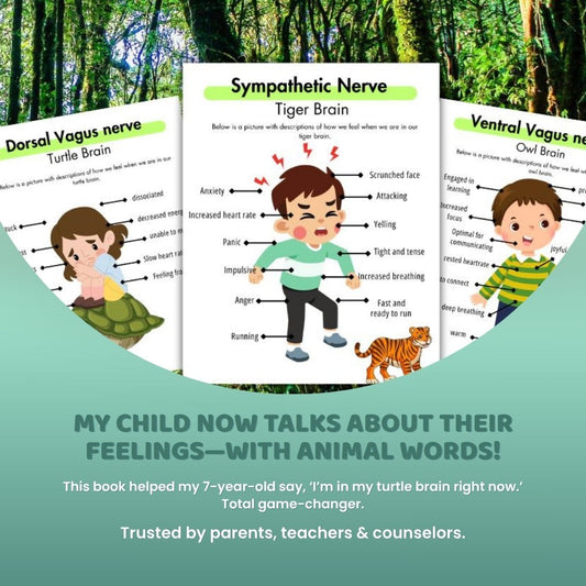 Nervous System Regulation for Kids, Emotional Regulation Skills, Polyvagal Theory for Children, Building Distress Tolerance, Strengthening the Window of Tolerance