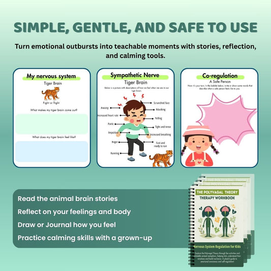 Nervous System Regulation for Kids, Emotional Regulation Skills, Polyvagal Theory for Children, Building Distress Tolerance, Strengthening the Window of Tolerance