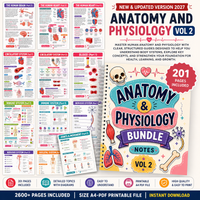 Nursing School Notes 4400+ Pages, Nclex Study Guide | MedSurg | Pharmacology | Digital Download