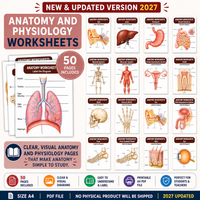 Nursing School Notes 4400+ Pages, Nclex Study Guide | MedSurg | Pharmacology | Digital Download